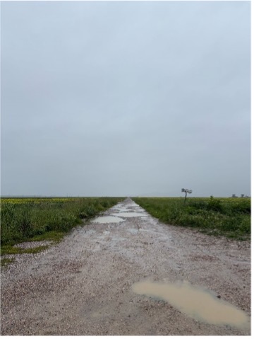 Ein Bild, das draußen, Himmel, Gras, Wolke enthält.KI-generierte Inhalte können fehlerhaft sein.